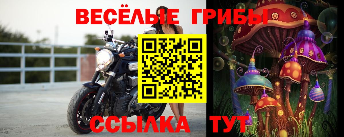 Сокол  Галлюциногенные грибы MAGIC MUSHROOMS  Вход с VPN 