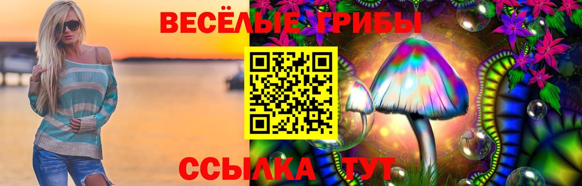 Галлюциногенные грибы GOLDEN TEACHER Сокол
